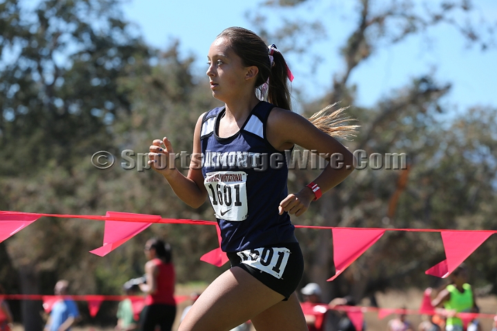 2015SIxcHSD2-120.JPG - 2015 Stanford Cross Country Invitational, September 26, Stanford Golf Course, Stanford, California.